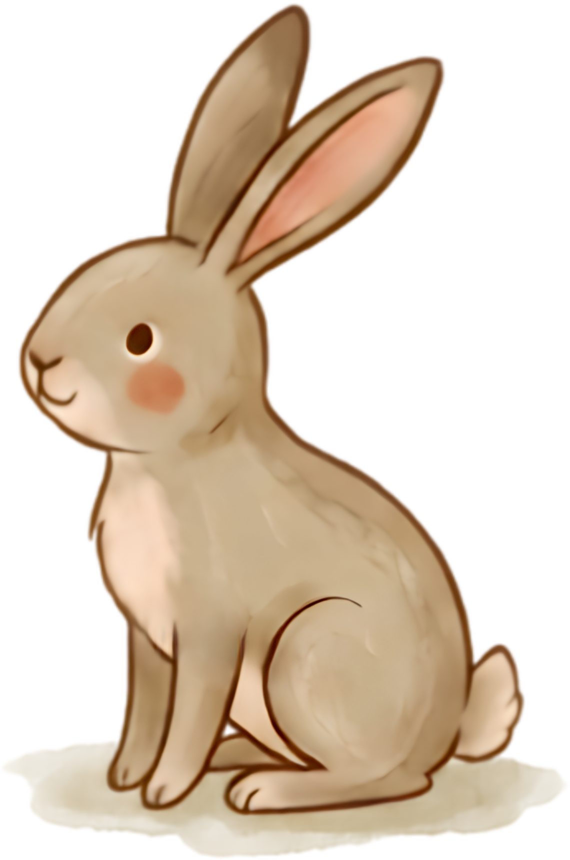 Der Hase